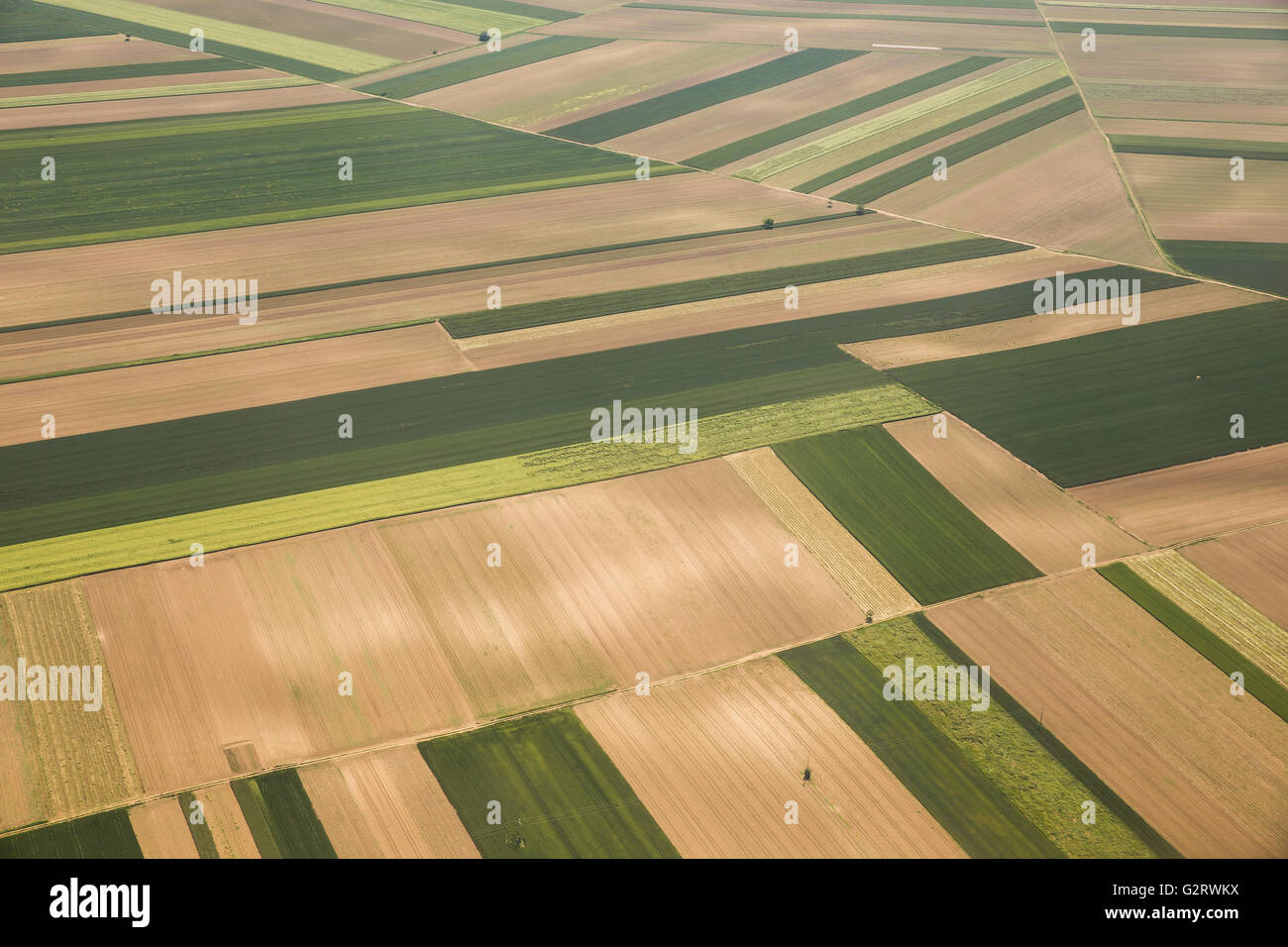 Ackerland Luftaufnahmen in Vojvodina, Serbien Stockfoto