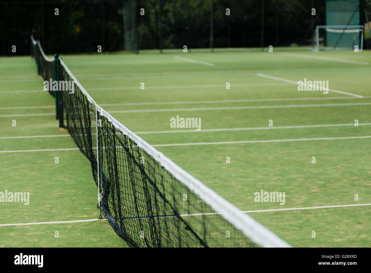 Reihe von Rasen-Tennis-Freiplätze und Netze Stockfoto