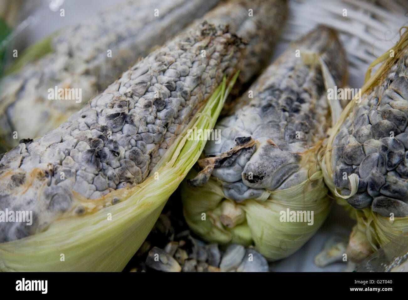 Huitlacoche, Mais Smut, auf einem Markt in Mexiko-Stadt Stockfoto