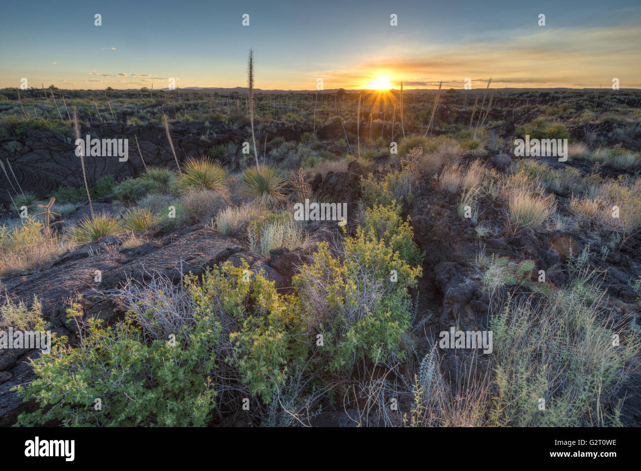 Tal der Brände Recreation Area, New Mexico, USA. Stockfoto