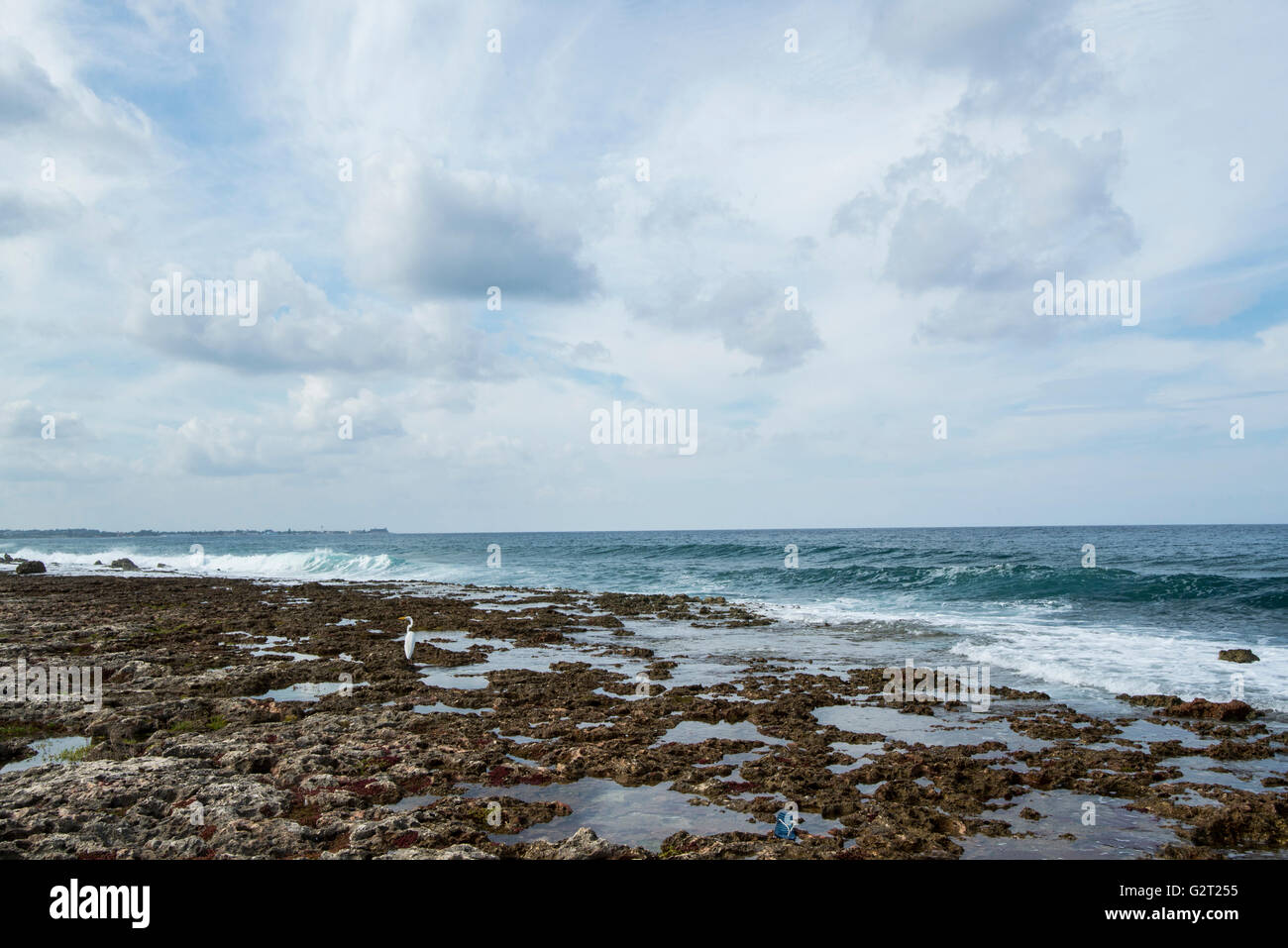 Wellen und Küstenlinie. La Havana, Kuba, Karibik, Südamerika Stockfoto