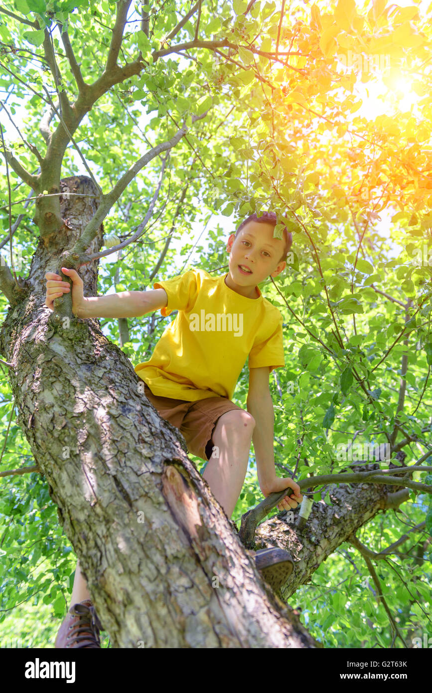 Lächelnde junge am Baum. Sommer-Zeit! Stockfoto