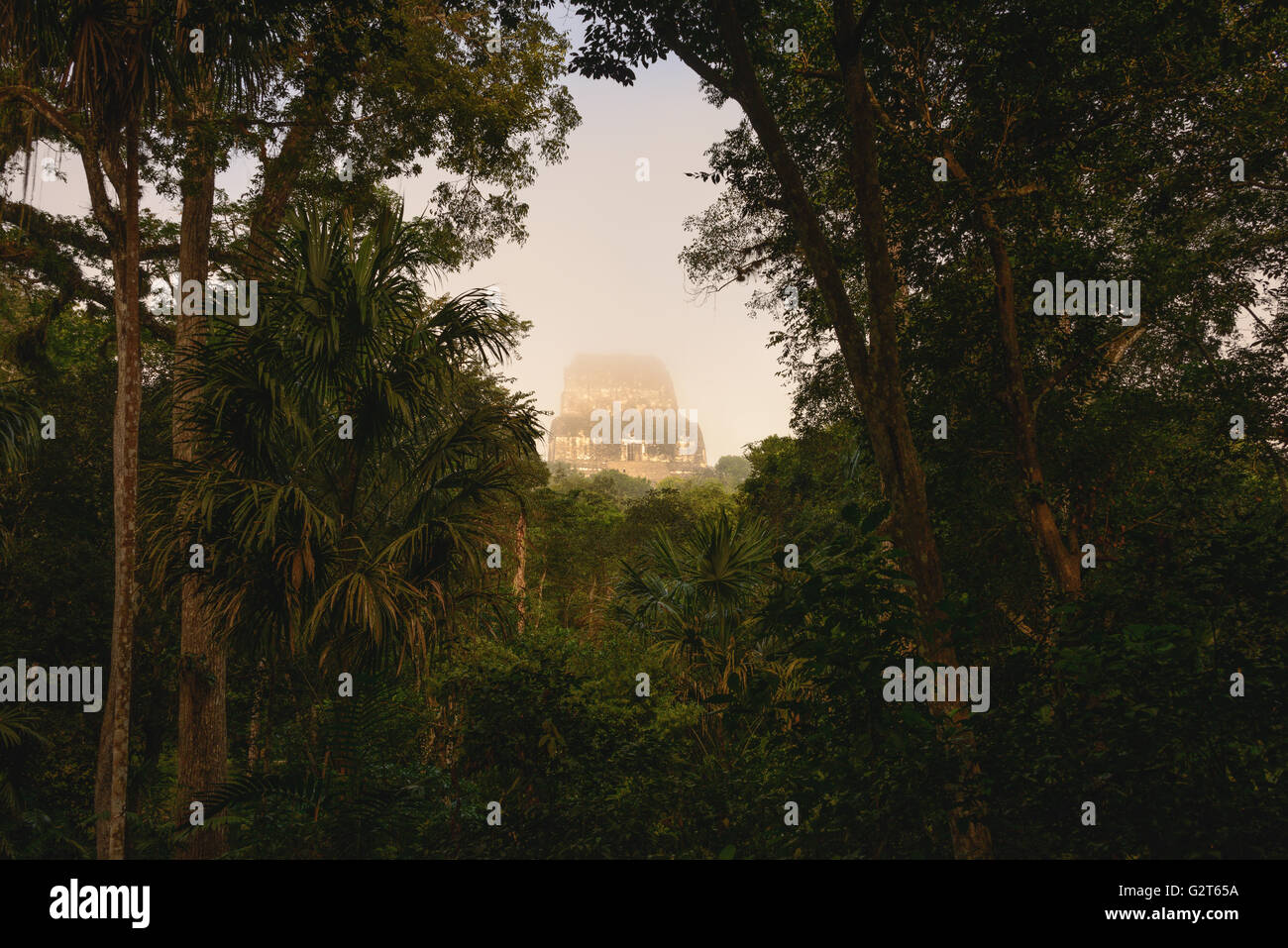 Sonnenaufgang in Tikal Tempel-Komplex kurz nach dem Morgennebel aufgehoben, die Strukturen zu offenbaren Stockfoto