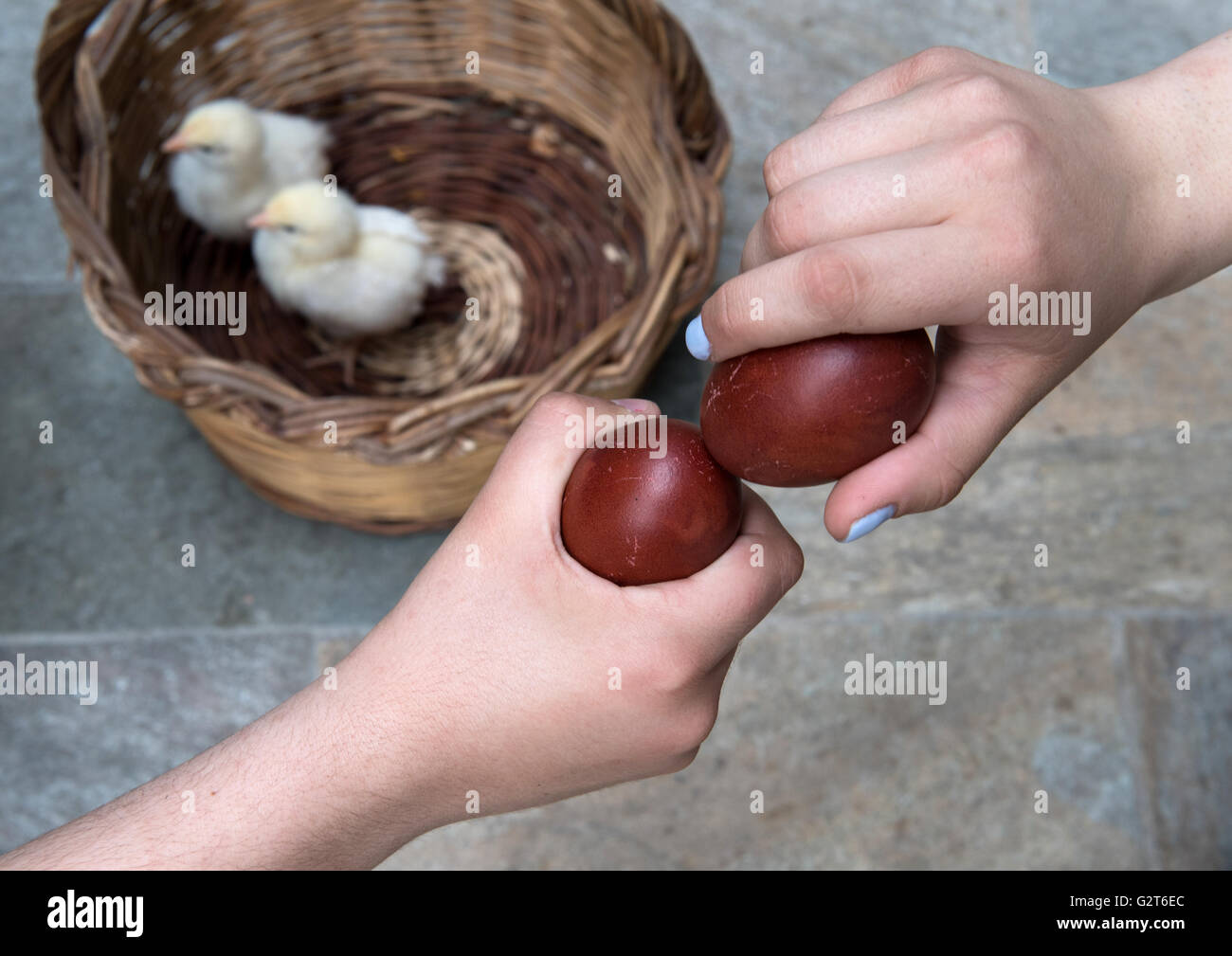 Zwei Hände halten rote Ostereier, die versucht, die Eiern um den Gewinner zu finden zu knacken. Traditionelle Oster-Wettbewerb. Stockfoto