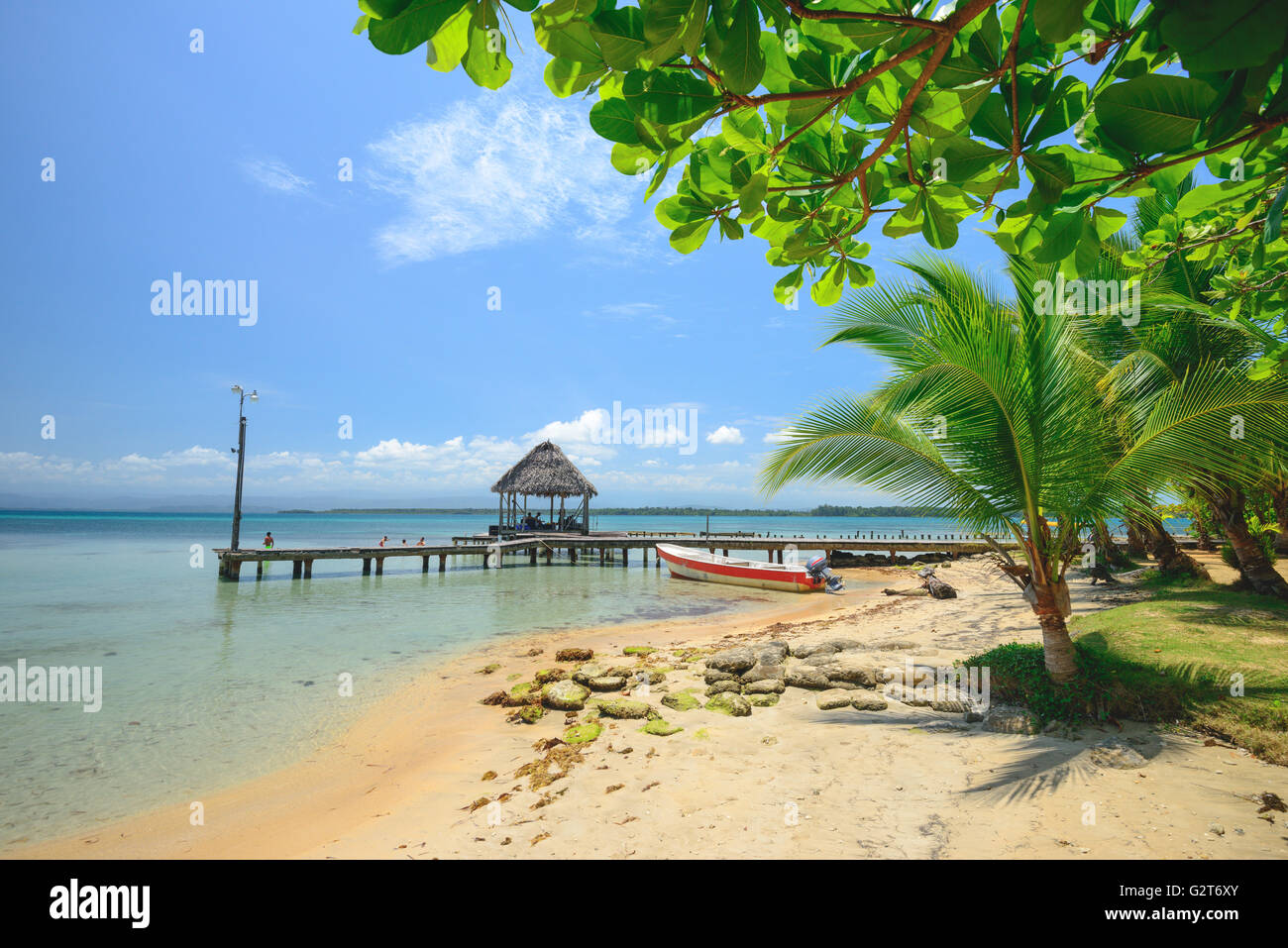 Seestern Strand in Bocas Del Toro, Panama Stockfoto