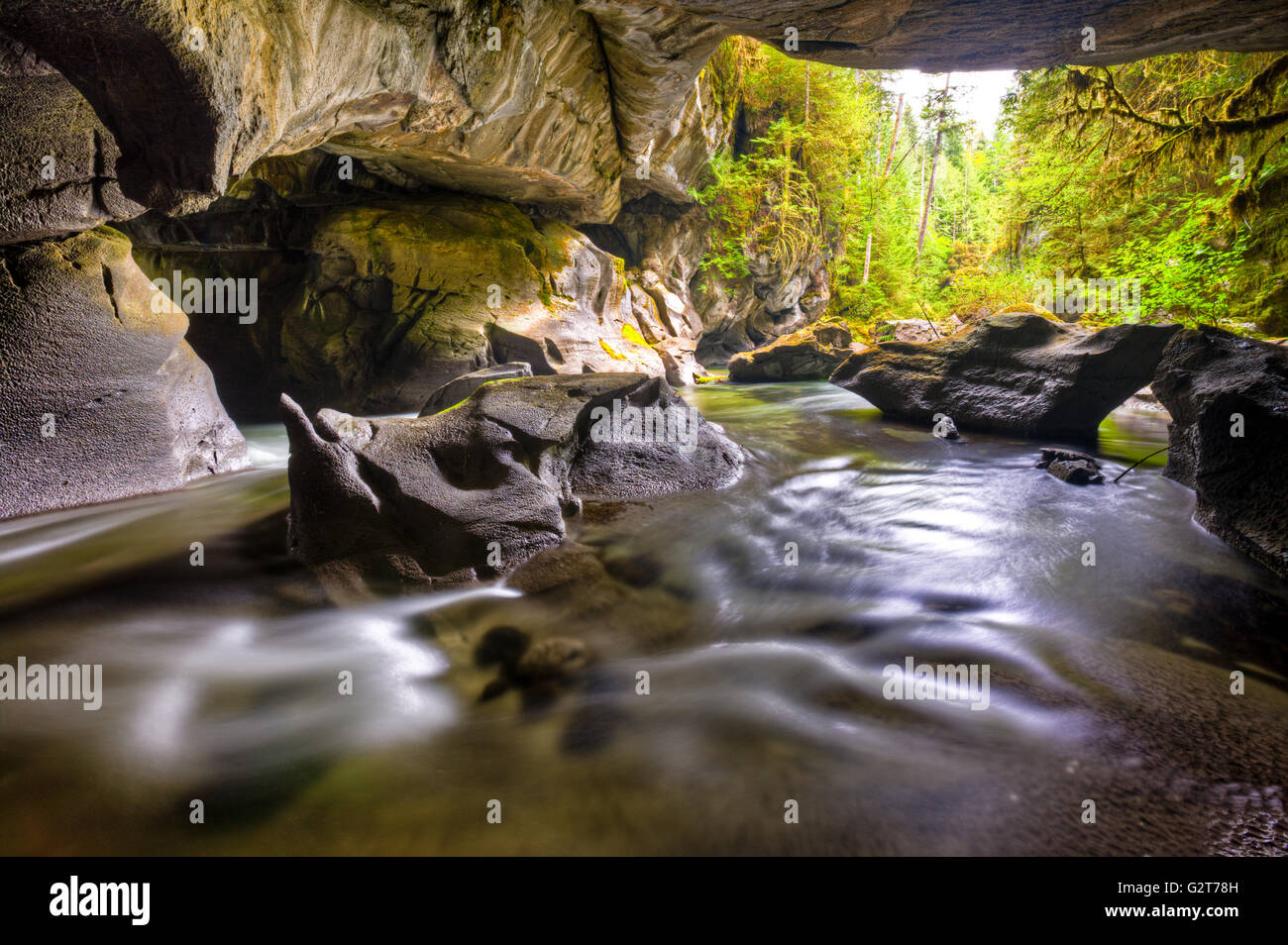 HDR-Foto von Dinosaur Rock im kleinen Weiler Höhle im kleinen Weiler Cave Regional Park, Vancouver Island, British Columbia, Kanada. Stockfoto