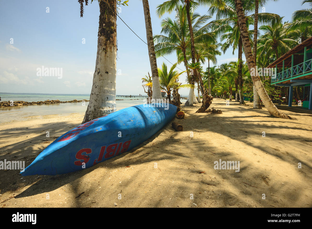 Palmen auf der Insel Carenero in Bocas Del Toro, Panama Stockfoto