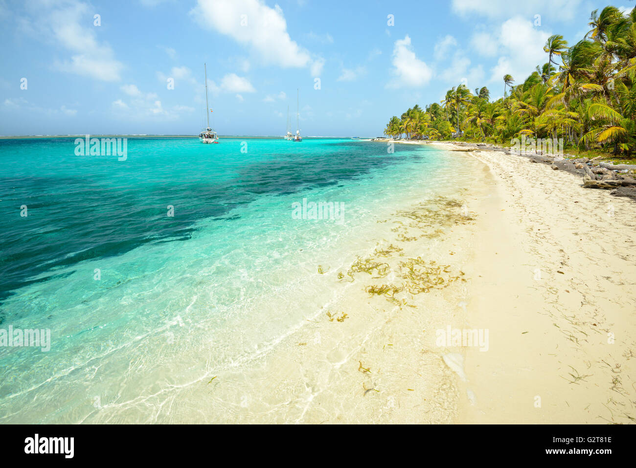 Strand in den San Blas Inseln, Panama Stockfoto