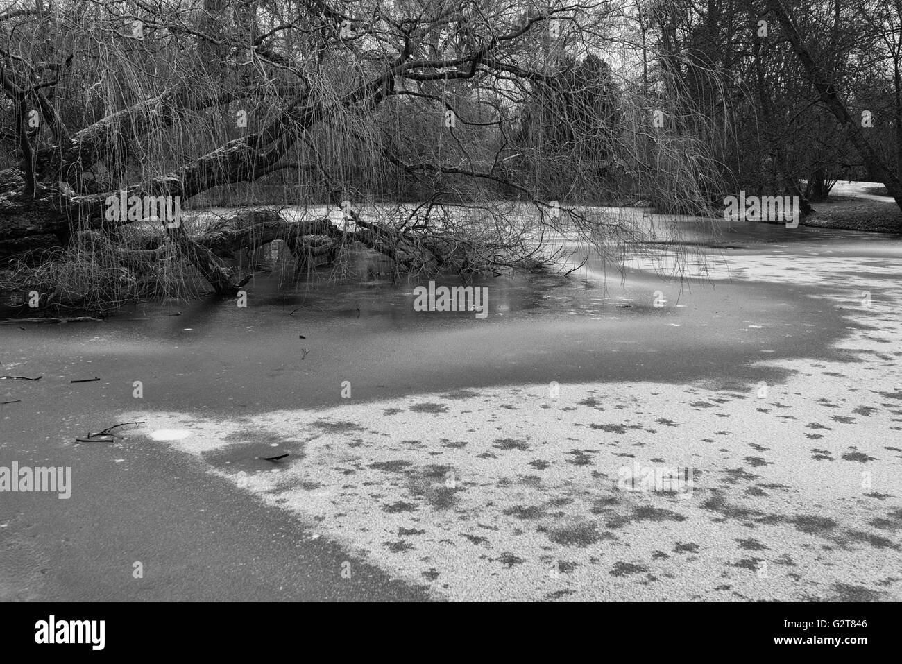 Vondelpark im winter Stockfoto