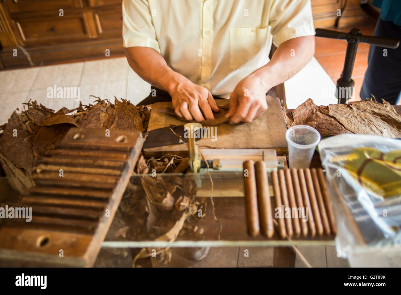 Arbeiter, die Herstellung der berühmten kubanischen Zigarren. Pinar Del Río, Kuba, Caribbean Stockfoto