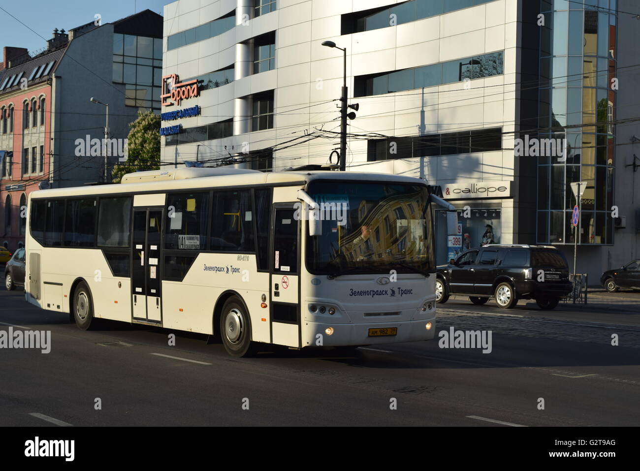 Städtischer Busverkehr in Kaliningrad Stadt. Weiß-blauen Mercedes-Benz Bus  unterwegs Stockfotografie - Alamy