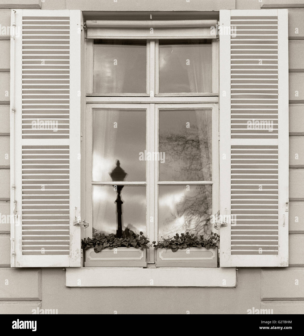 Apartment Fenster auf der Ile St. Louis mit Fensterläden, Blumenkästen und Reflexion der Laterne. Typische Paris, Frankreich Architektur reisen Details. Stockfoto