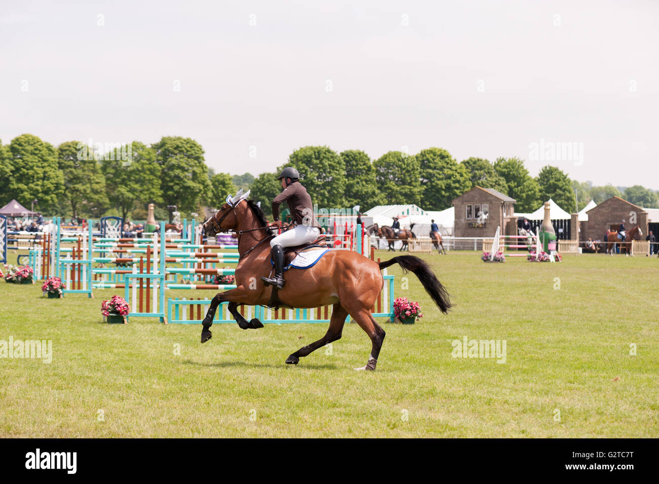 [Pferd springen] Pferd springen [Springreiten] Stockfoto