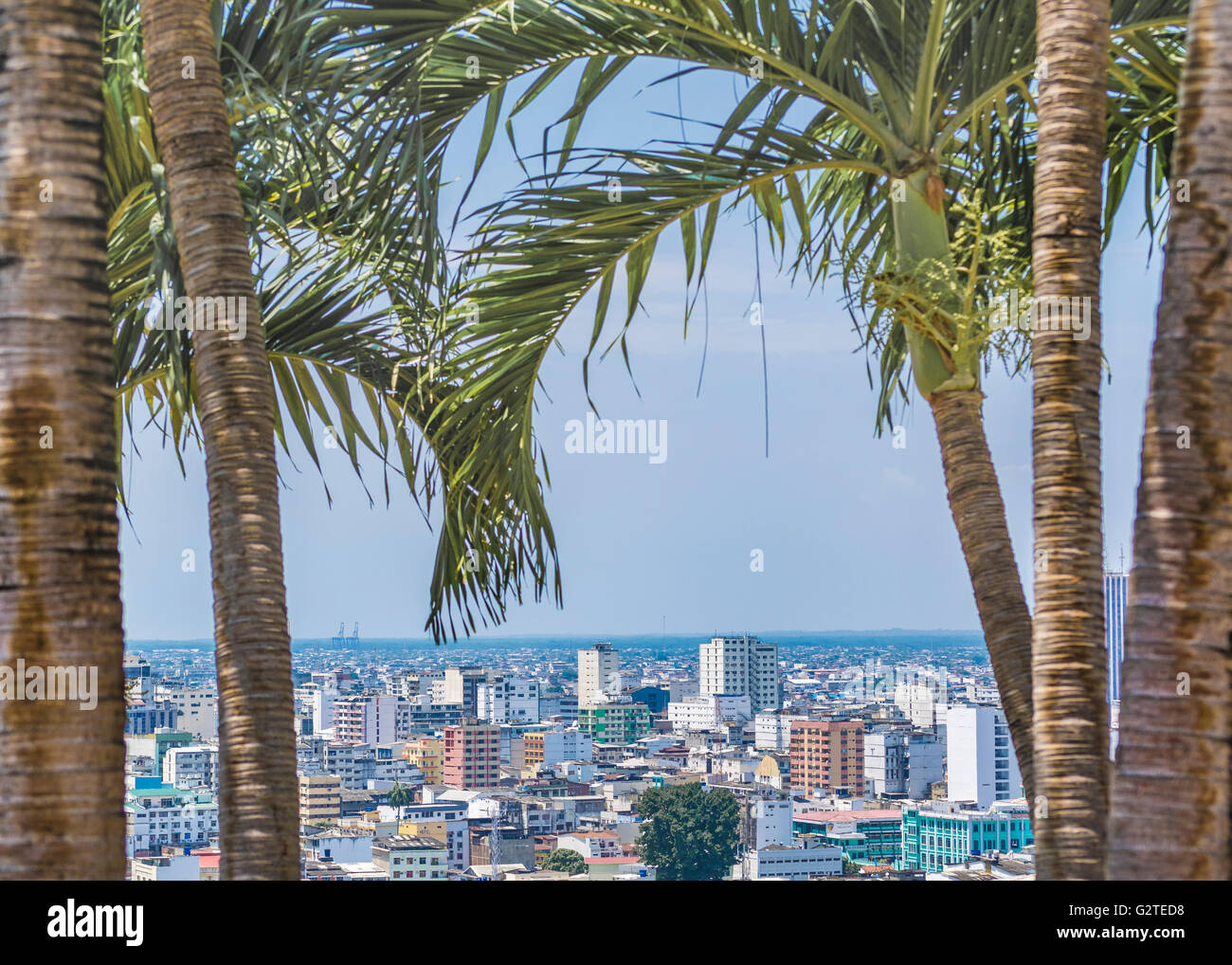 GUAYAQUIL, ECUADOR, Oktober - 2015 - Stadtansicht Luftaufnahme vom Cerro Santa Ana, eine touristische Attraktion von Guayaquil, Ecuador. Stockfoto