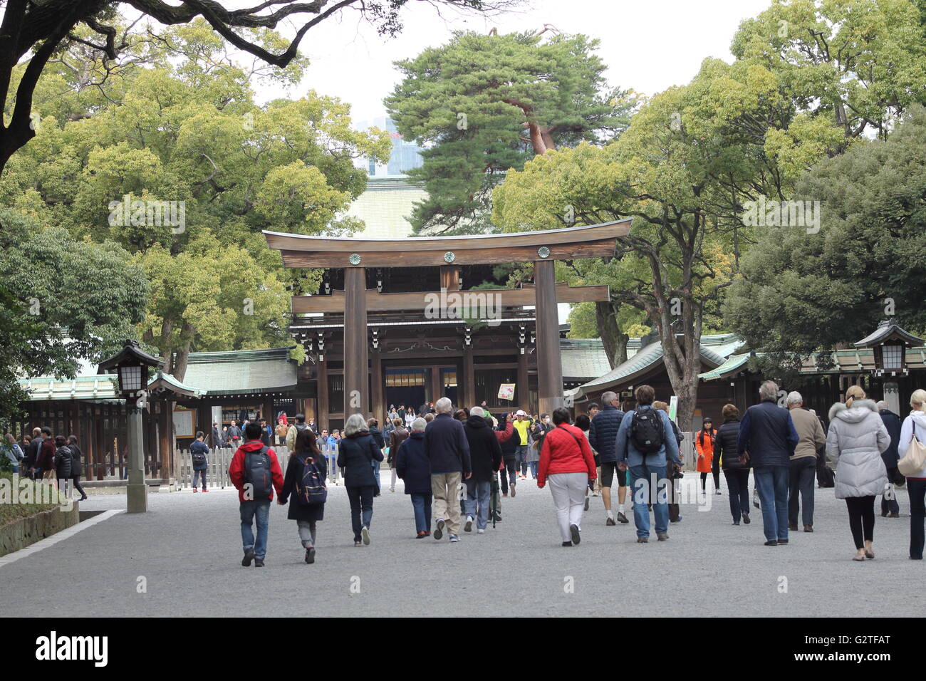 Menschen gehen, um den Meiji-Schrein in Tokio, Japan Stockfoto