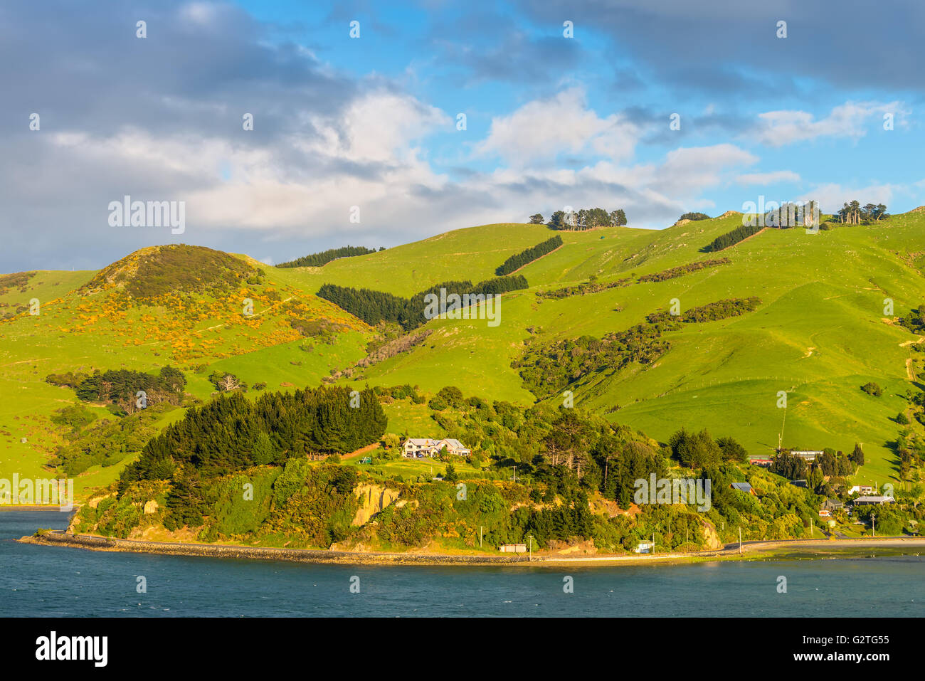 Ländliche Szene und Schaf-Farm in der Nähe von Dunedin in Otago Region südliche Insel Neuseeland Stockfoto