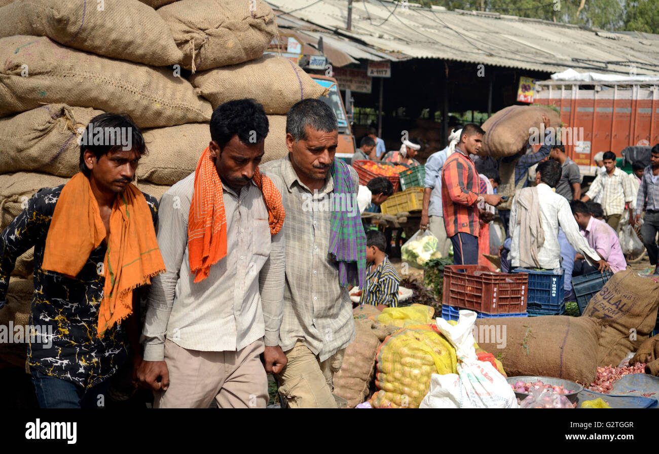 Handbuch der indischen Arbeiter ziehen Gemüse Karren, Alt-Delhi, Indien Stockfoto