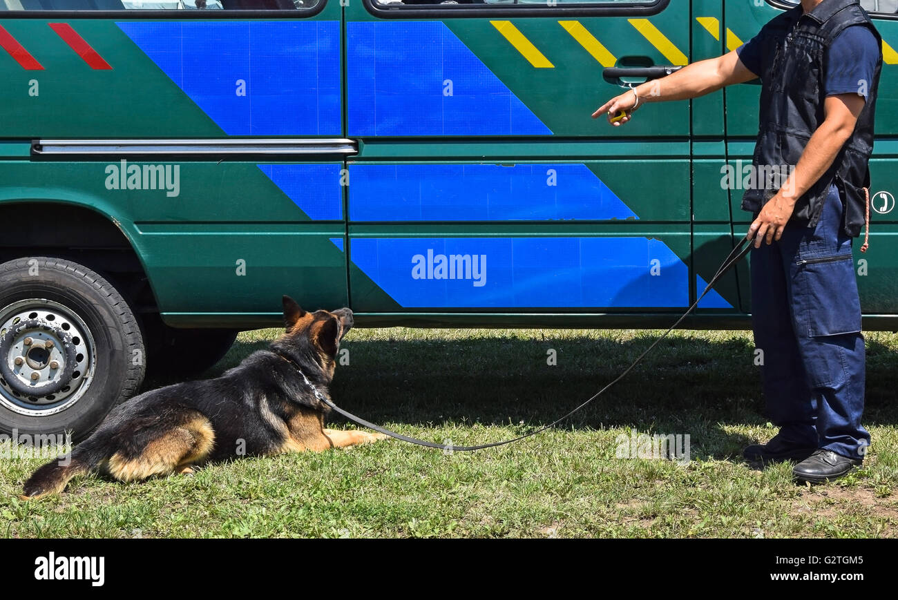 Polizist mit seinem Hund neben den Streifenwagen Stockfoto