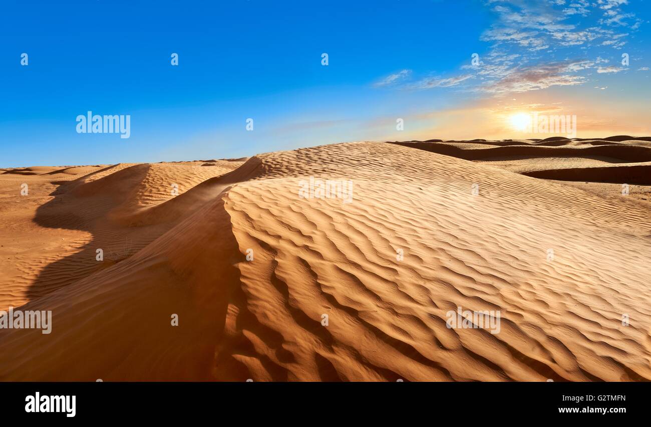 Sanddünen des Grand Erg Oriental in der Nähe der Oase von Ksar Ghilane, Sahara Wüste, Tunesien Stockfoto