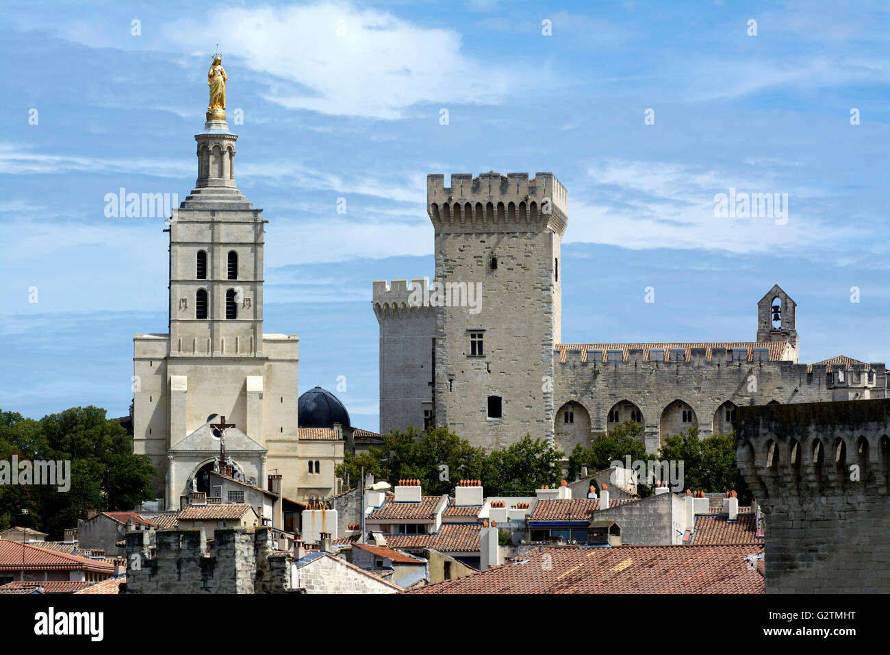 Kathedrale von Avignon, Cathédrale Notre-Dame des Doms d ' Avignon und der Palais des Papes, UNESCO-Weltkulturerbe, Avignon Stockfoto