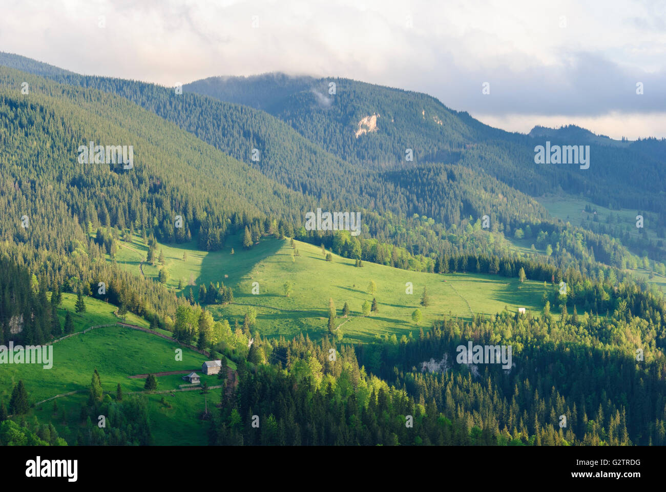 Bauernhof Wald Karpaten Berge, Rumänien, Moldau, Moldawien, Moldau Carpathians, Lacul Rosu Stockfoto