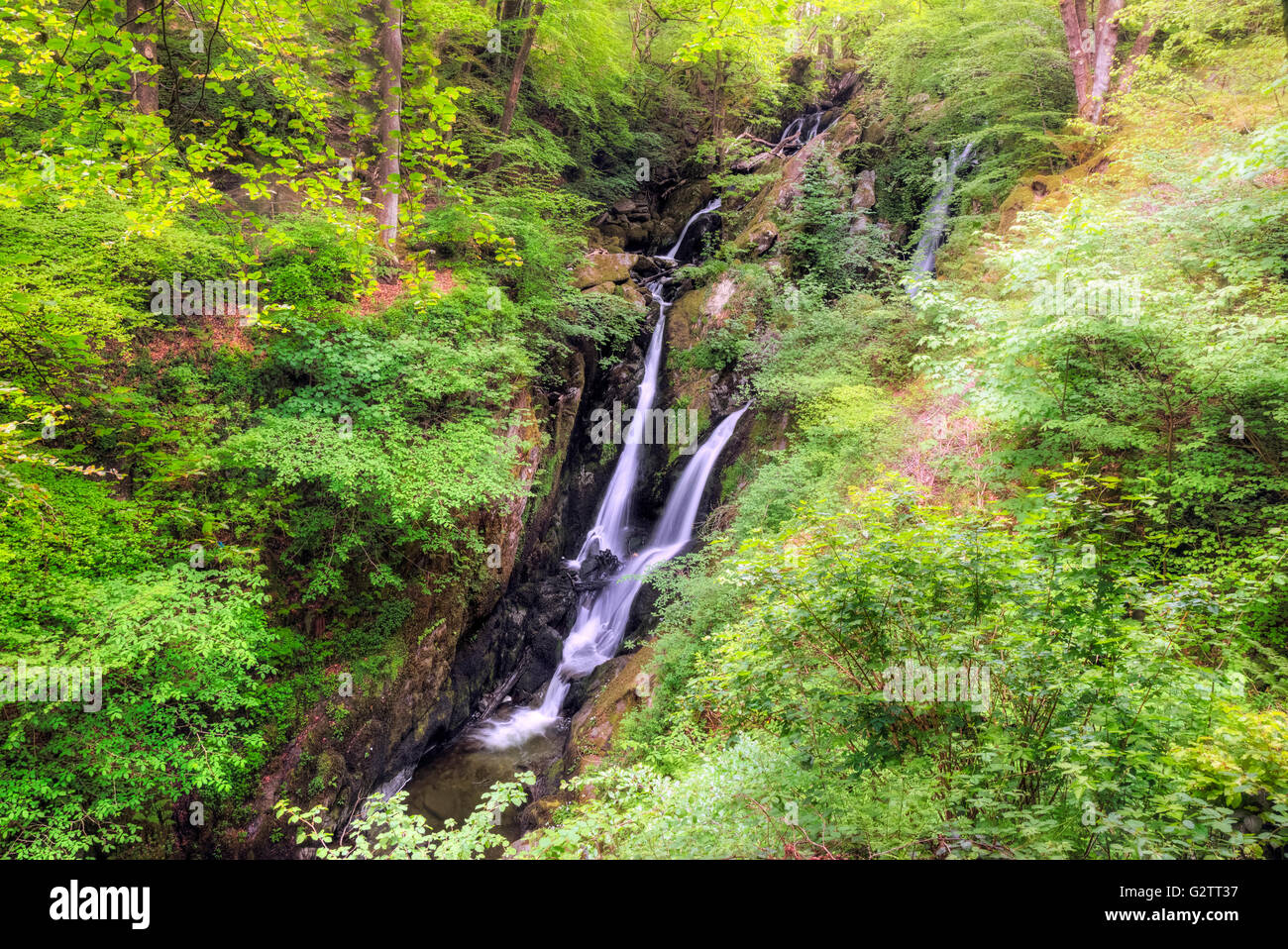 Ambleside, Stock Ghyll Kraft, Lake District, Cumbria, England, UK Stockfoto
