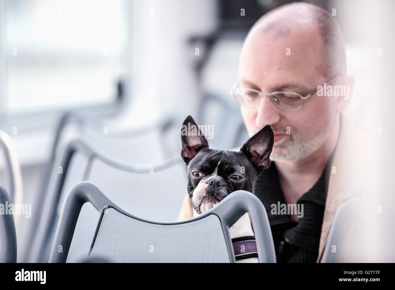 Mann mit Boston Terrier sitzend auf dem Boot Stockfoto