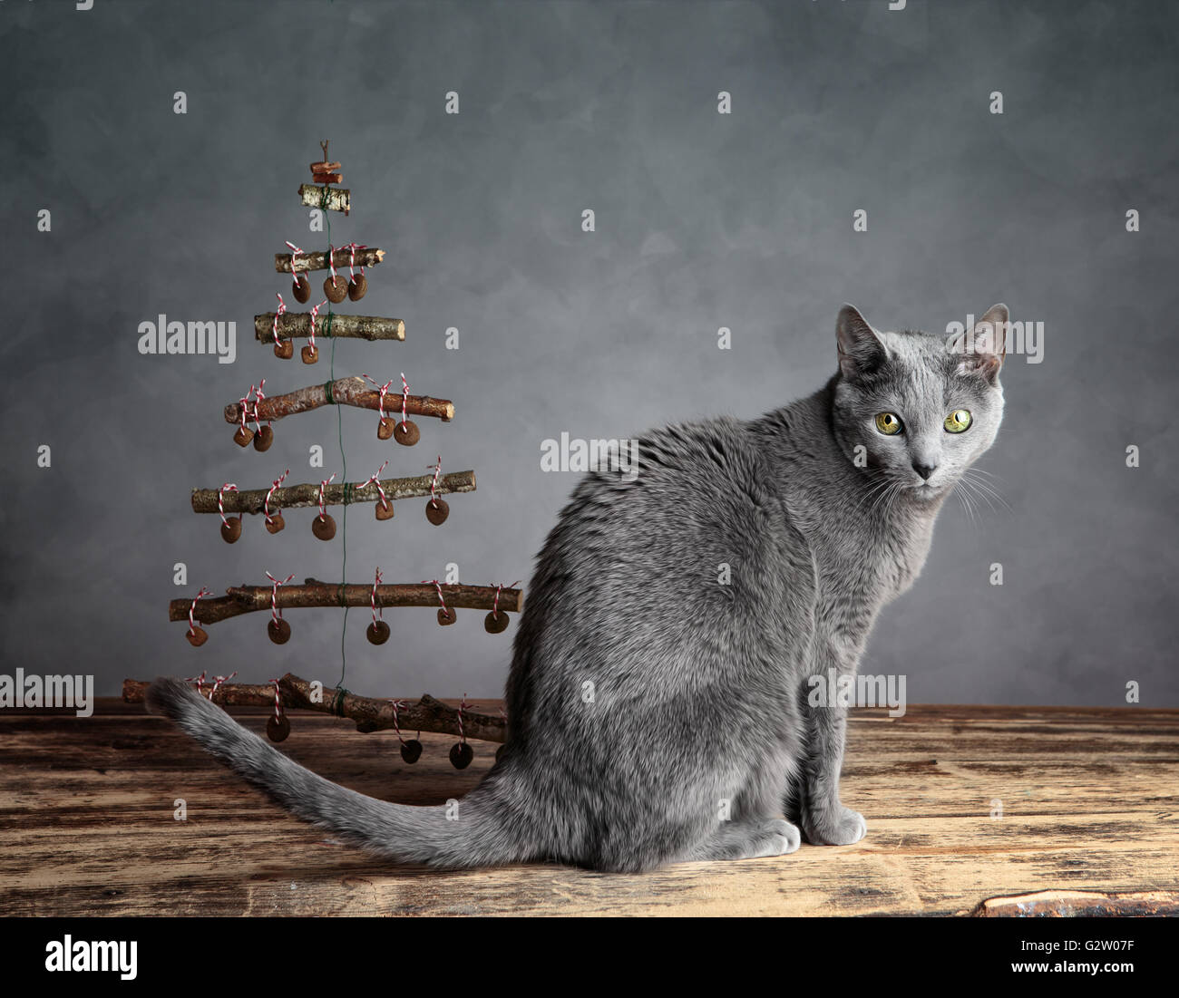 Katze mit symbolischen Weihnachtsbaum geschmückt mit Katze essen pellets Stockfoto