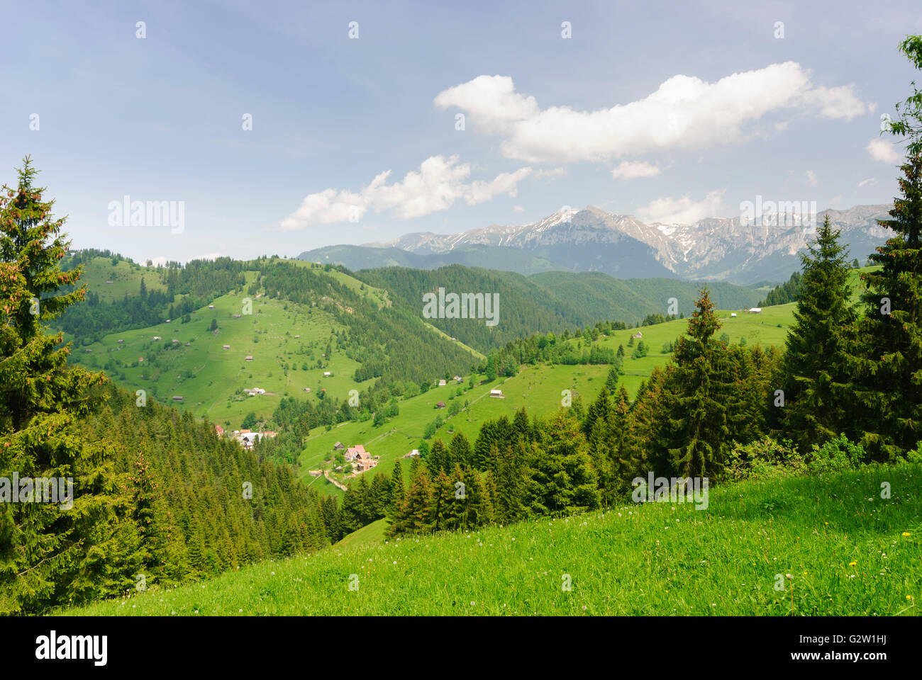 Blick Bucegi Gebirge (Teil der Karpaten), Rumänien, Siebenbürgen, Transsilvanien, Siebenbürgen (Transsilvanien), Moieciu Stockfoto