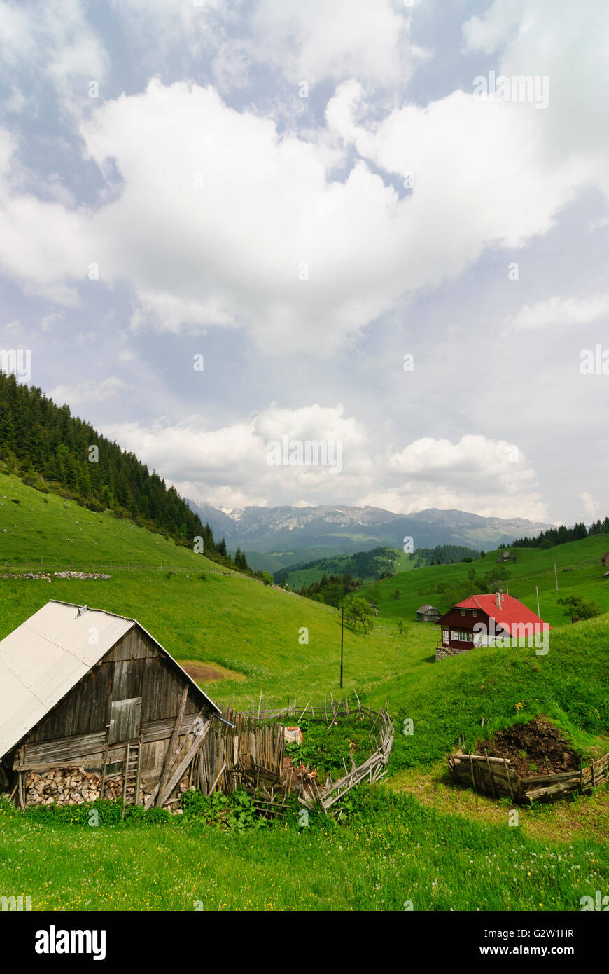 Blick Bucegi Gebirge (Teil der Karpaten), Rumänien, Siebenbürgen, Transsilvanien, Siebenbürgen (Transsilvanien), Fundata Stockfoto