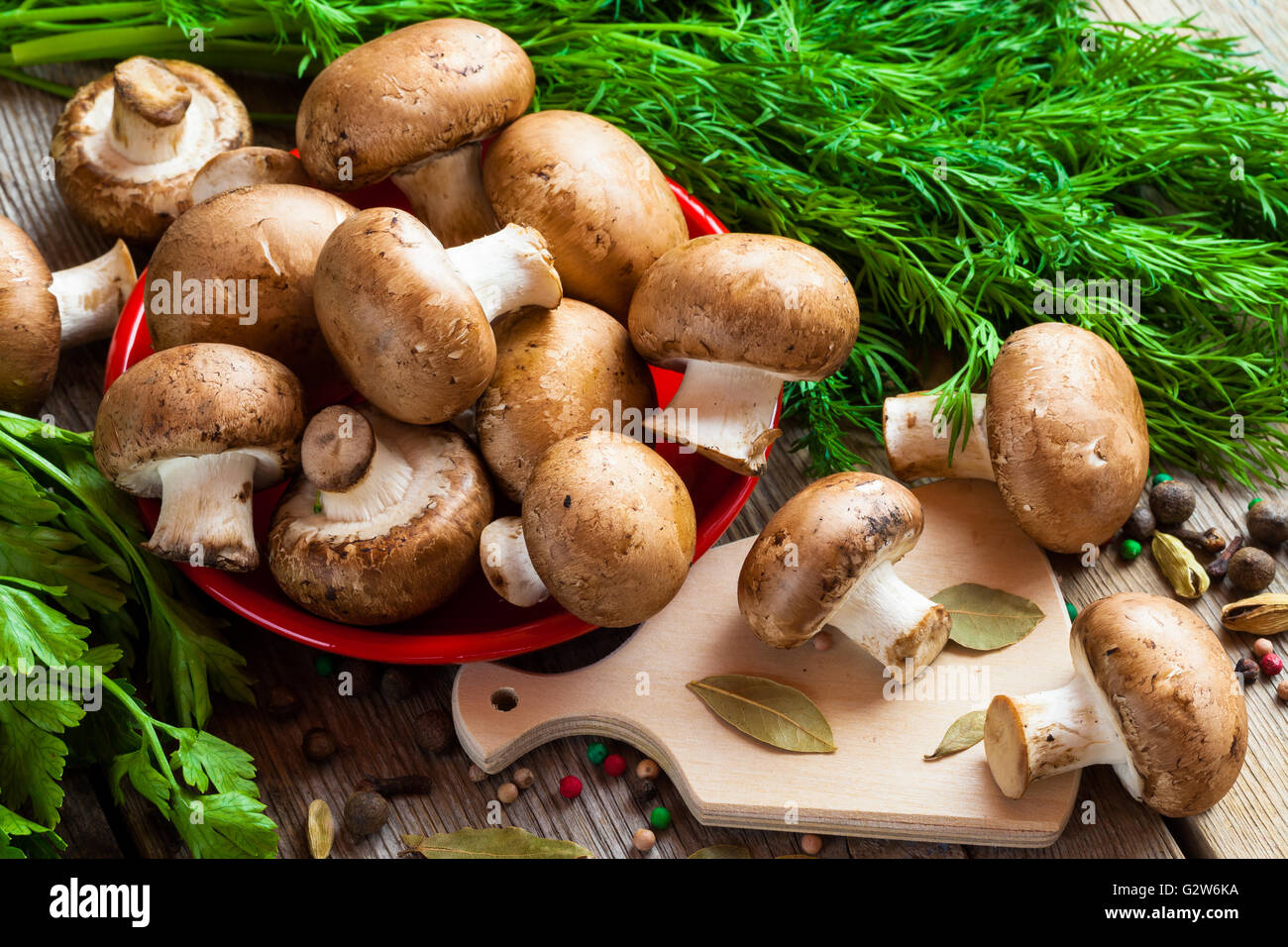 Pilze, Dill und Gewürzen auf Holztisch. Stockfoto