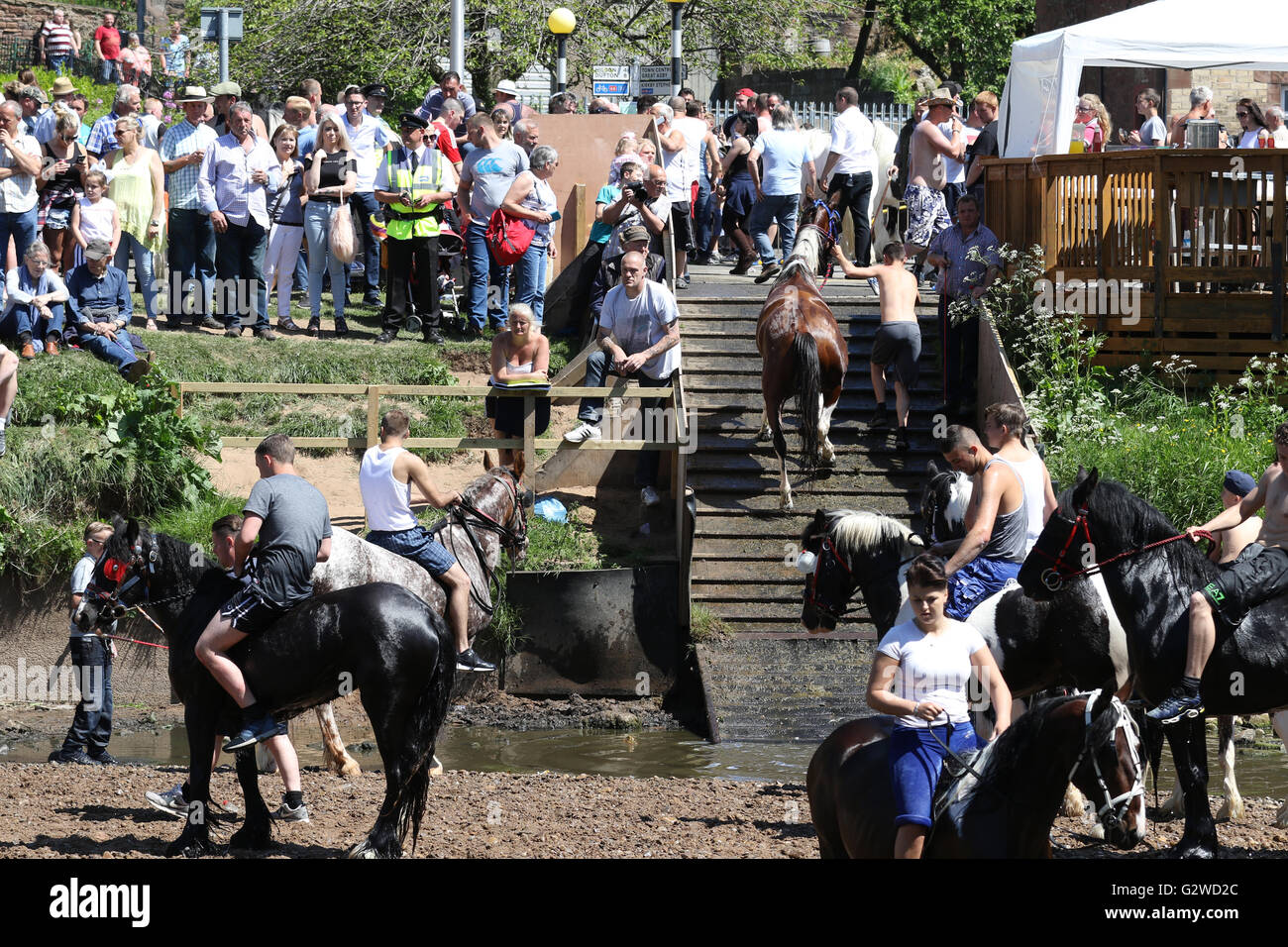 Appleby in Westmorland, Cumbria, England - 3. Juni 2016: Pferde waschen im Fluss Eden vor Handel während der Appleby Horse Fair, ein jährliches Treffen der Roma und fahrenden führt zu platzieren, in der ersten Juniwoche. Appleby Fair ist einzigartig in Europa, rund 10.000 Zigeuner und Reisende anzieht und bis zu 30.000 Besucher. Bildnachweis: AC Bilder/Alamy Live-Nachrichten Stockfoto