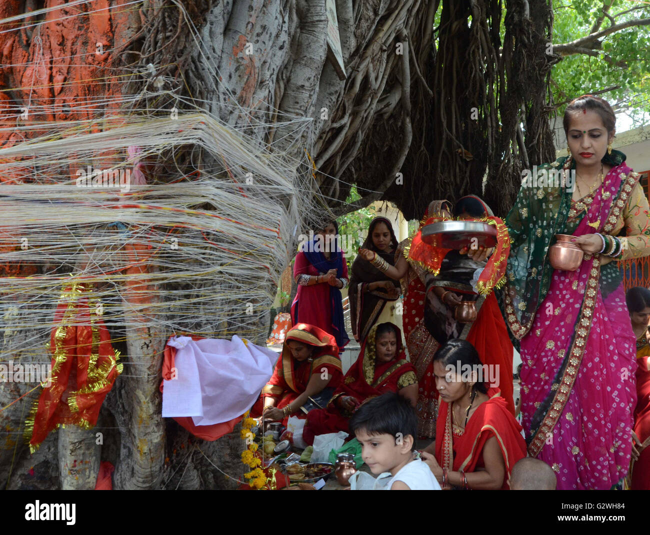 Bhopal, Indien. 4. Juni 2016. Verheiratete Frauen wind Heilige Gewinde um einen Banyanbaum, Gebete während der Mehrwertsteuer Savitri Puja oder Banyan Tree Anbetung Festival in Bhopal, Indien, 4. Juni 2016 anzubieten. Indische verheiratete Frauen beten für lange Lebensdauer ihrer Ehemänner durch einen Tag lang schnell und verehren das Banyan Tree. Bildnachweis: Stringer/Xinhua/Alamy Live-Nachrichten Stockfoto