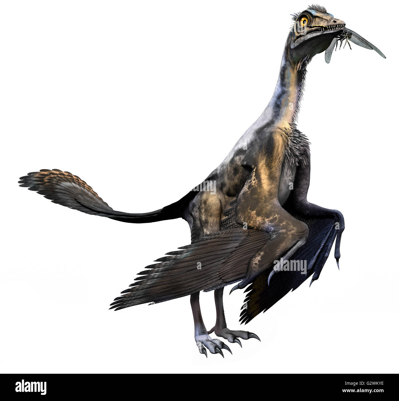 Archaeopteryx Stockfoto