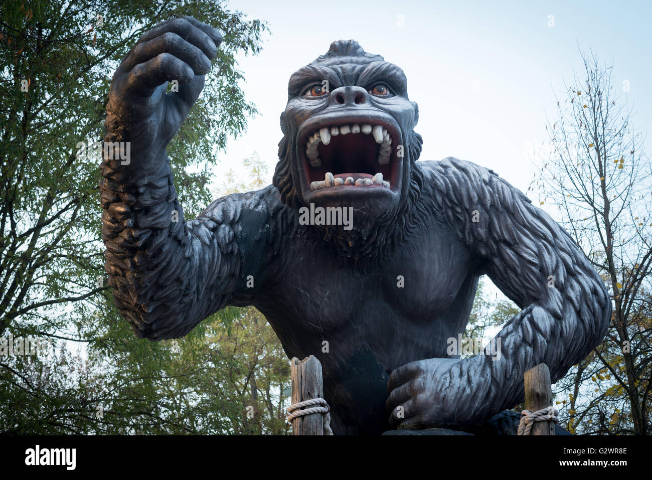 28.10.2015, Potsdam, Brandenburg, Deutschland - Medienstadt Babelsberg Babelsberg Film Park. Die übergroße Statue King Kong, es ist ein 1,6-Tonnen-Nachbau des Riesenaffen aus dem Kino-Klassiker - King Kong und die weiße Frauen aus dem Jahr 1933. N U R F U E R R E D A K T I O N E L L E Z W E C K E. 0JL151028D013CAROEX. JPG - nicht für den Verkauf in G E R M A N Y, A U S T R I A S W I T Z E R L A N D [MODEL-RELEASE: nicht anwendbar, PROPERTY-RELEASE: Nein, (C) Caro Fotoagentur / Lederbogen, http://www.caro-images.com, info@carofoto.pl - jegliche Nutzung dieses Bildes unterliegt GEMA!] Stockfoto