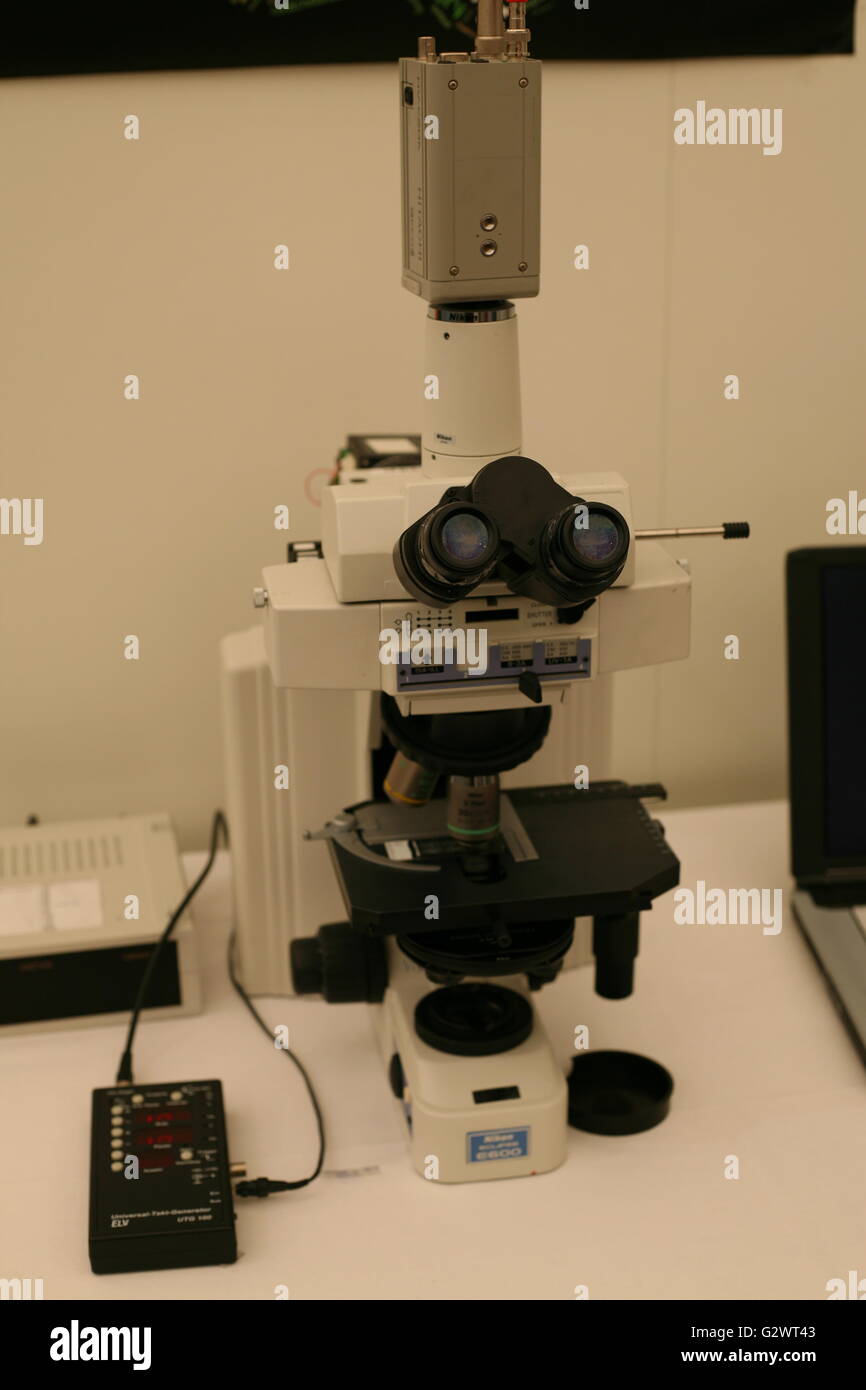 Mikroskop für die wissenschaftliche Arbeit, Bonn, Deutschland Stockfoto