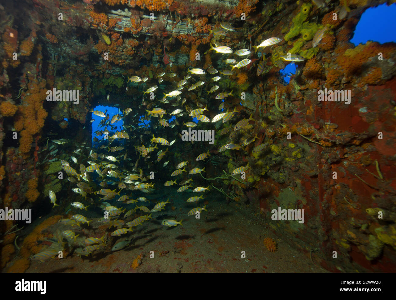 Im Inneren der Schiffbruch des USCGC Duane. Stockfoto