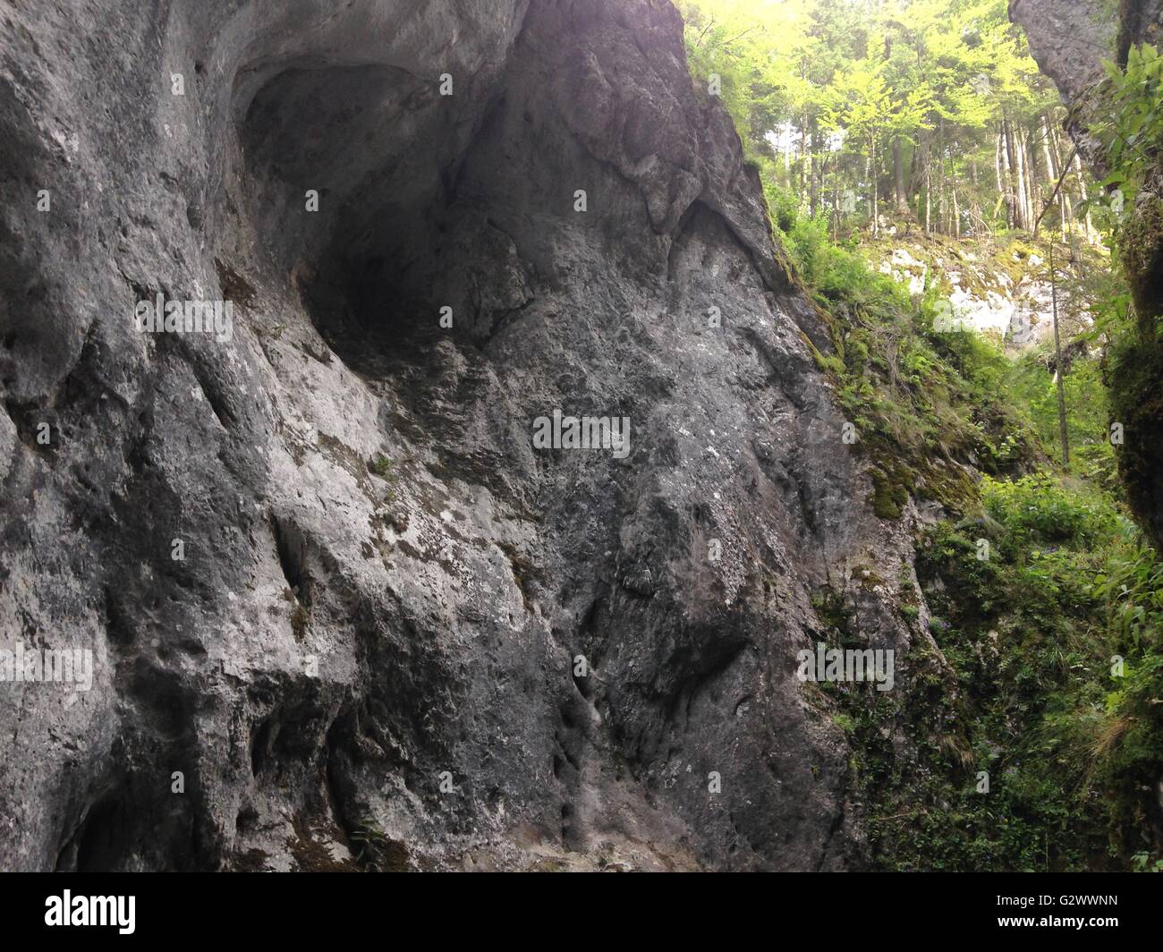 Rumäniens Karpaten Höhle Stockfoto