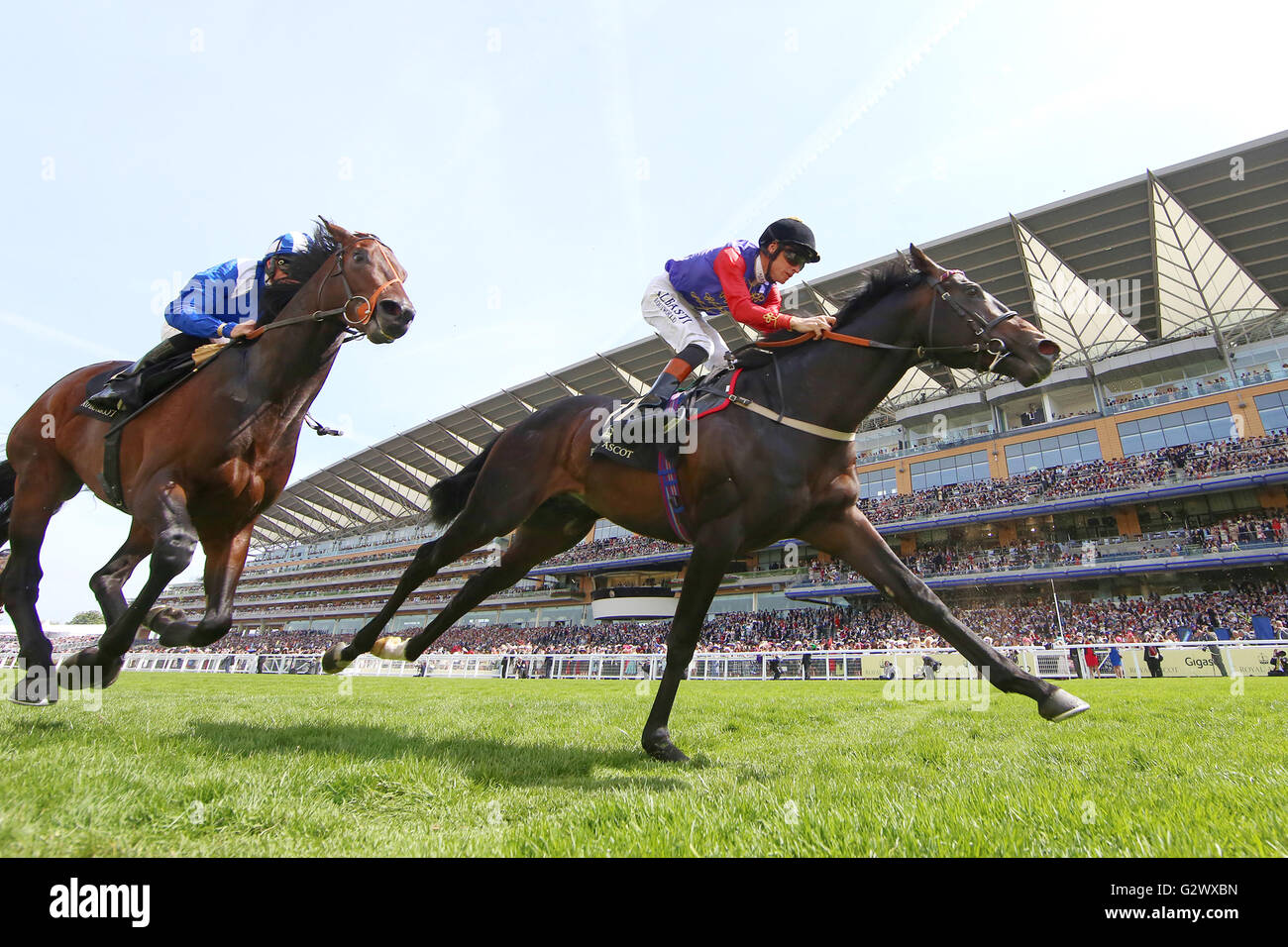 18.06.2015, Ascot, Berkshire, Grossbritannien - Pferde und Jockeys auf der Zielgeraden vor der Tribüne. 00S150618D773CAROEX. JPG - nicht für den Verkauf in G E R M A N Y, A U S T R I A S W I T Z E R L A N D [MODEL-RELEASE: Nein, PROPERTY-RELEASE: Nein, (C) Caro Fotoagentur / Sorge, http://www.caro-images.com, info@carofoto.pl - jegliche Nutzung dieses Bildes unterliegt GEMA!] Stockfoto