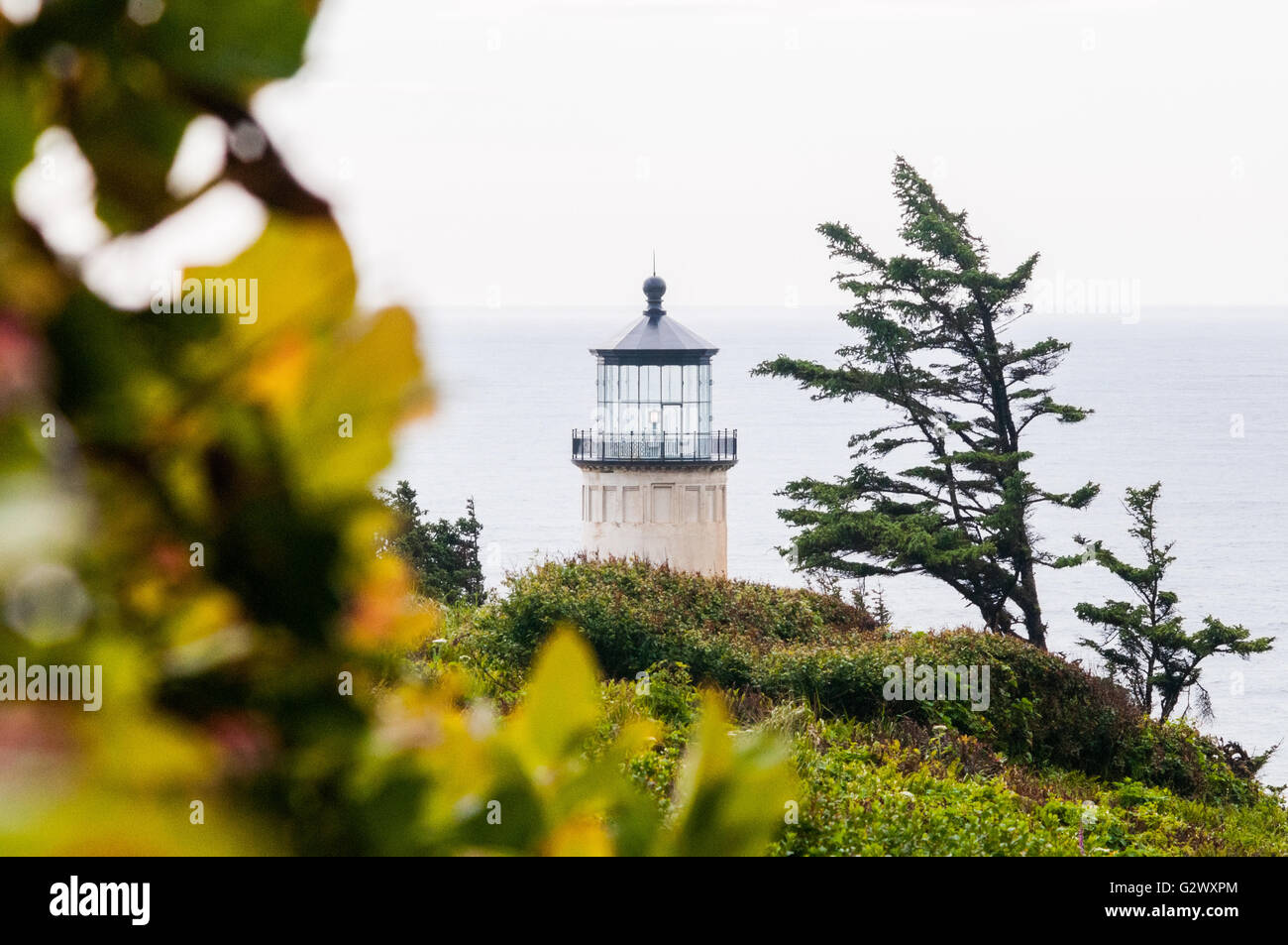 Der North Head Lighthouse steht über dem Laub im Cape Enttäuschung State Park, Ilwaco, Washington, USA. Stockfoto