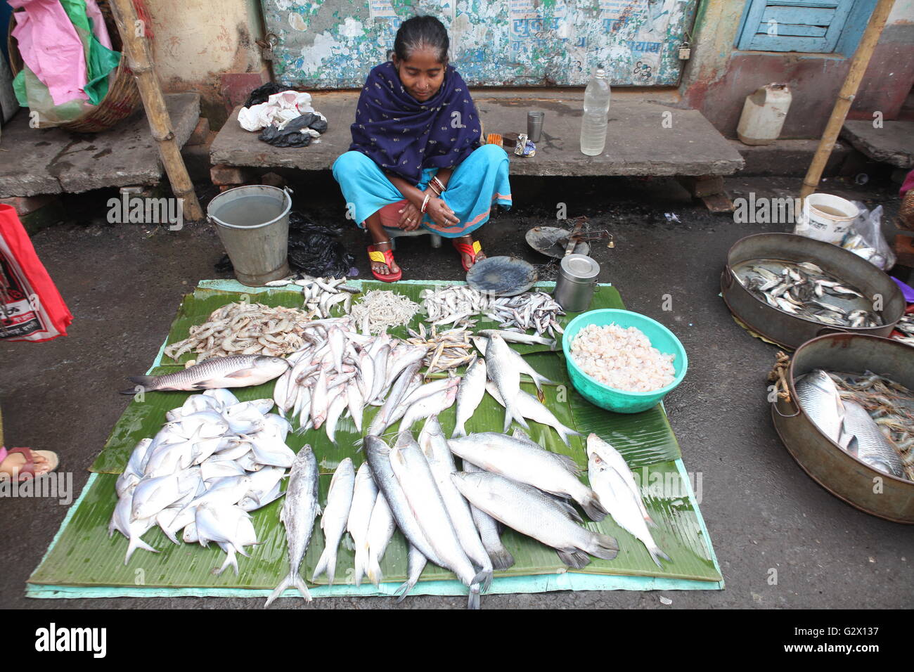eine Frau, Verkauf von Fischen an einer Straßenecke in Kolkata, Westbengalen, wo die meisten Menschen Fische verbrauchen Stockfoto