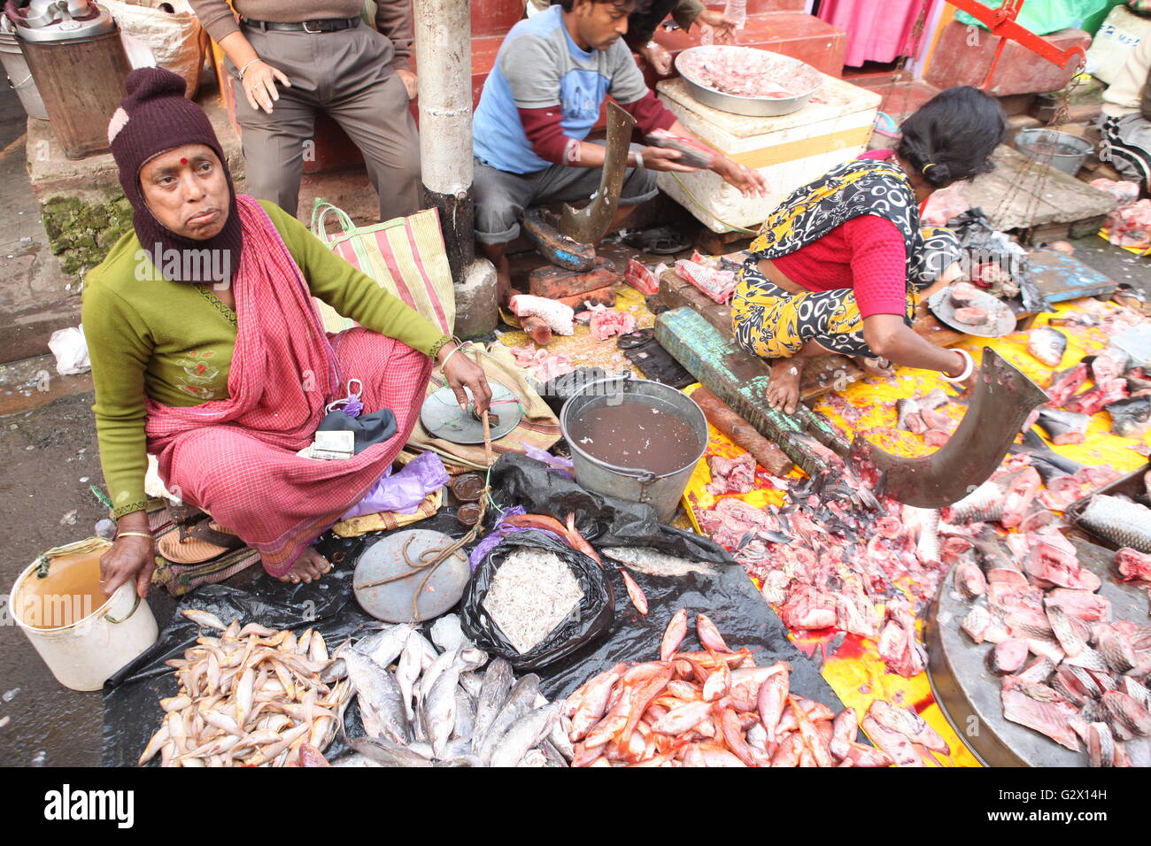 Frau Fischer Verkauf von Fischen in einem offenen Markt in Kolkata. Stockfoto