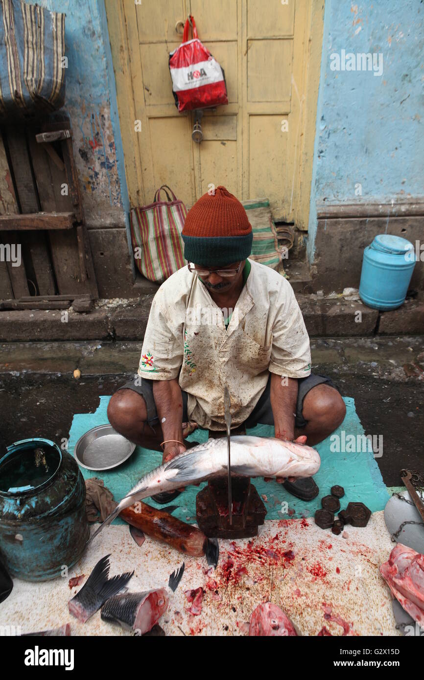 Fischer schneiden Fisch bedeutete für den Verkauf auf einem Markt in kolkata Stockfoto