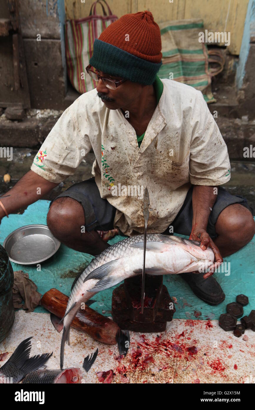ein Fischer schneiden Fisch für den Verkauf an einer Straßenecke in Kalkutta, wo die Mehrheit der Menschen essen Stockfoto