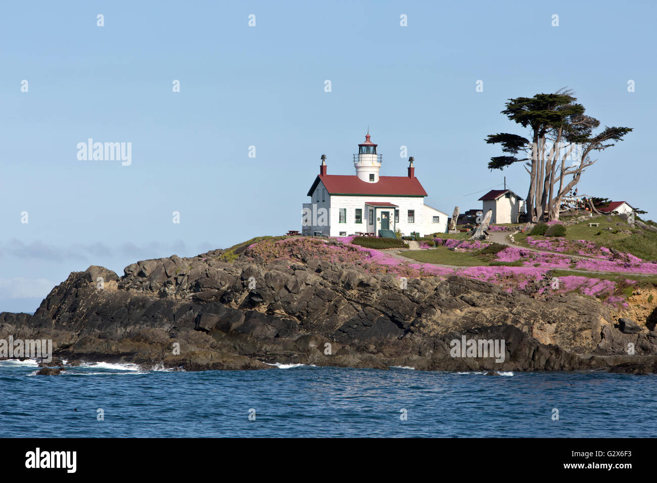 Battery Point Lighthouse, Sitka-Fichte, Del Norte County. Stockfoto