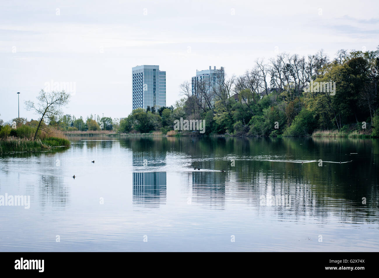 Eigentumswohnung-Hochhäuser und Grenadier Teich im High Park in Toronto, Ontario. Stockfoto Eigentumswohnung-Hochhäuser und Grenadier Teich im High Park in Toronto, Ontario. Stockfoto