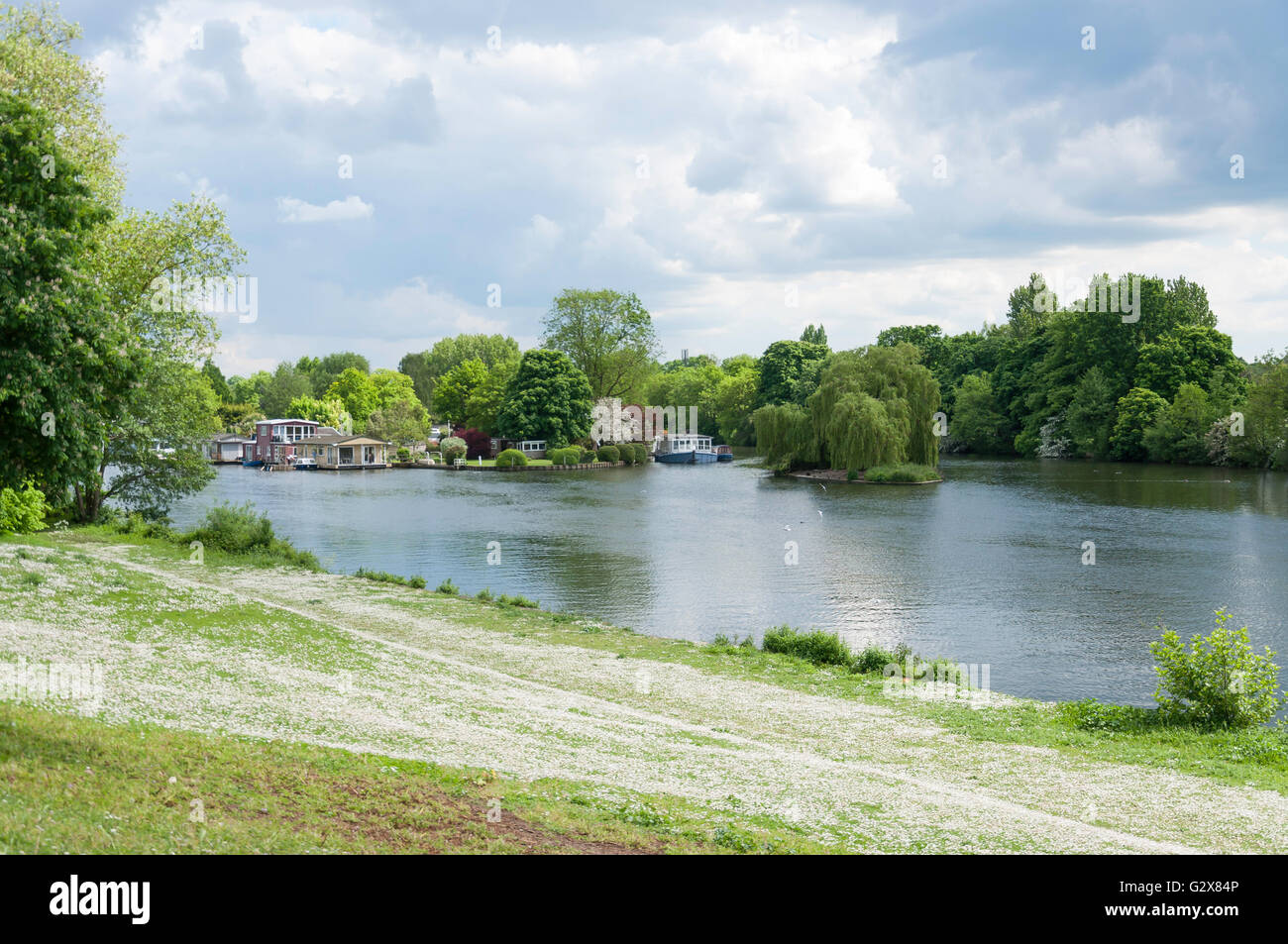 Taggs Island und Themse, Hampton, London Borough of Richmond upon Thames, Greater London, England, Vereinigtes Königreich Stockfoto