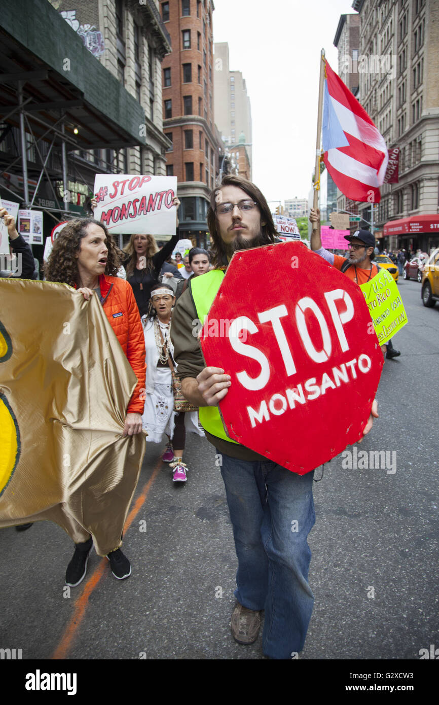 März und Demonstration gegen Monsanto und gentechnisch veränderte Lebensmittel auf der Straße in New York City. Stockfoto