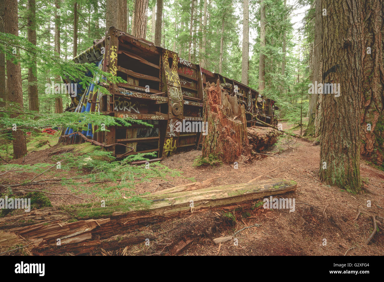 Verlassenen Zugunglück in Whistler, Britisch-Kolumbien Stockfoto