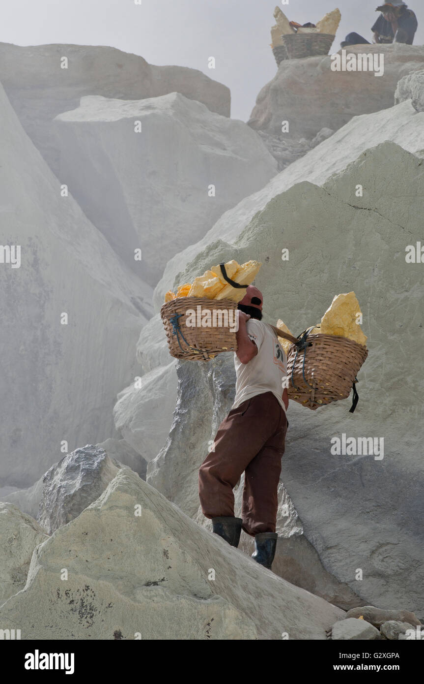 Java, Mt. Ijen, männlichen Arbeitnehmer tragen Schwefel Blocks vom Vulkan In zwei Körben Stockfoto